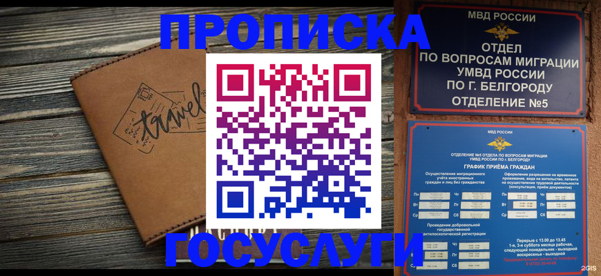 временная регистрация купить в Камчатском крае
